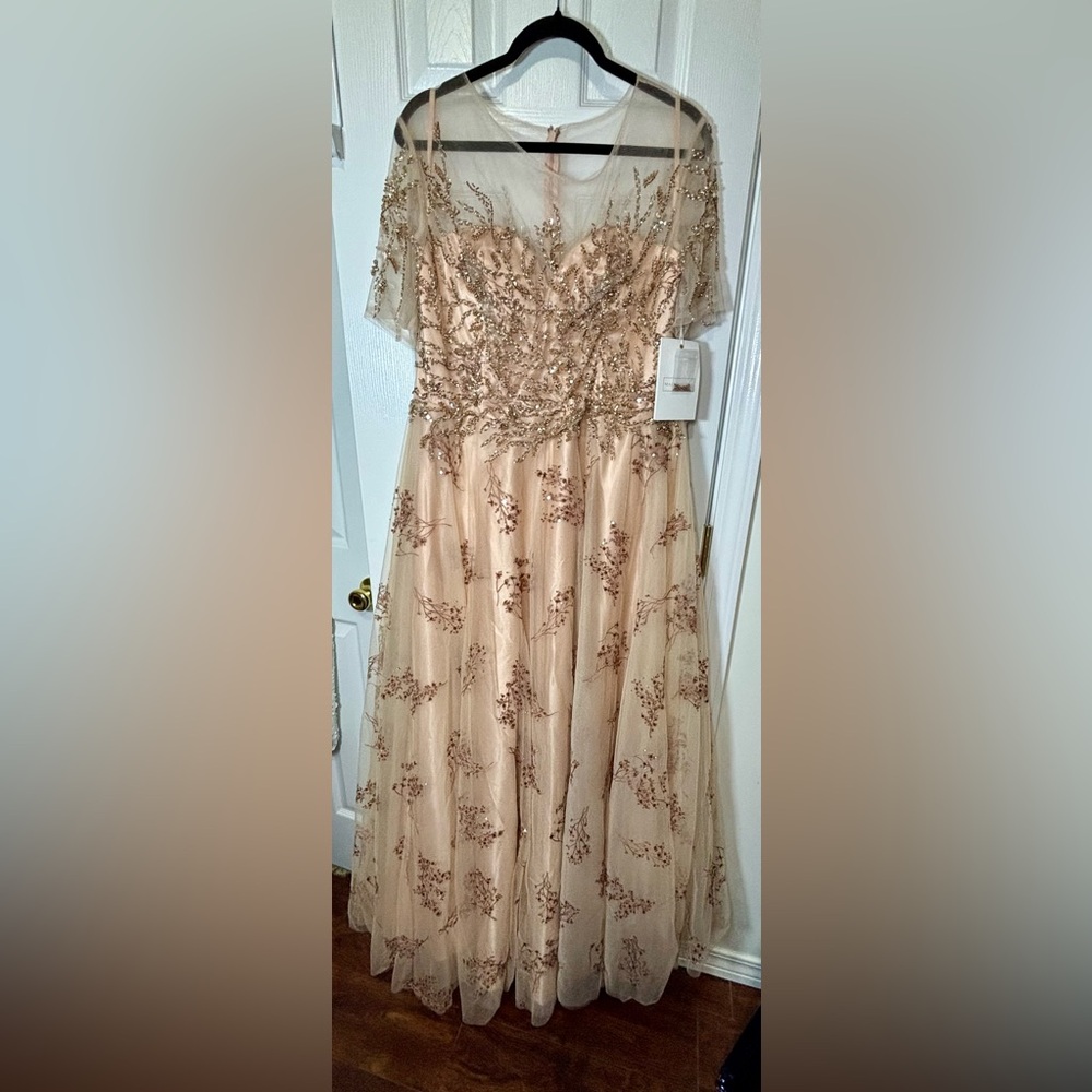 NWT MAC DUGGAL SZ 16 CHAMPAGNE/PINK Embellished Illusion Enchanting Gown #79317 - Picture 9 of 13